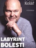 Labyrint bolesti a jak se v něm neztratit