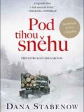 Pod tíhou sněhu